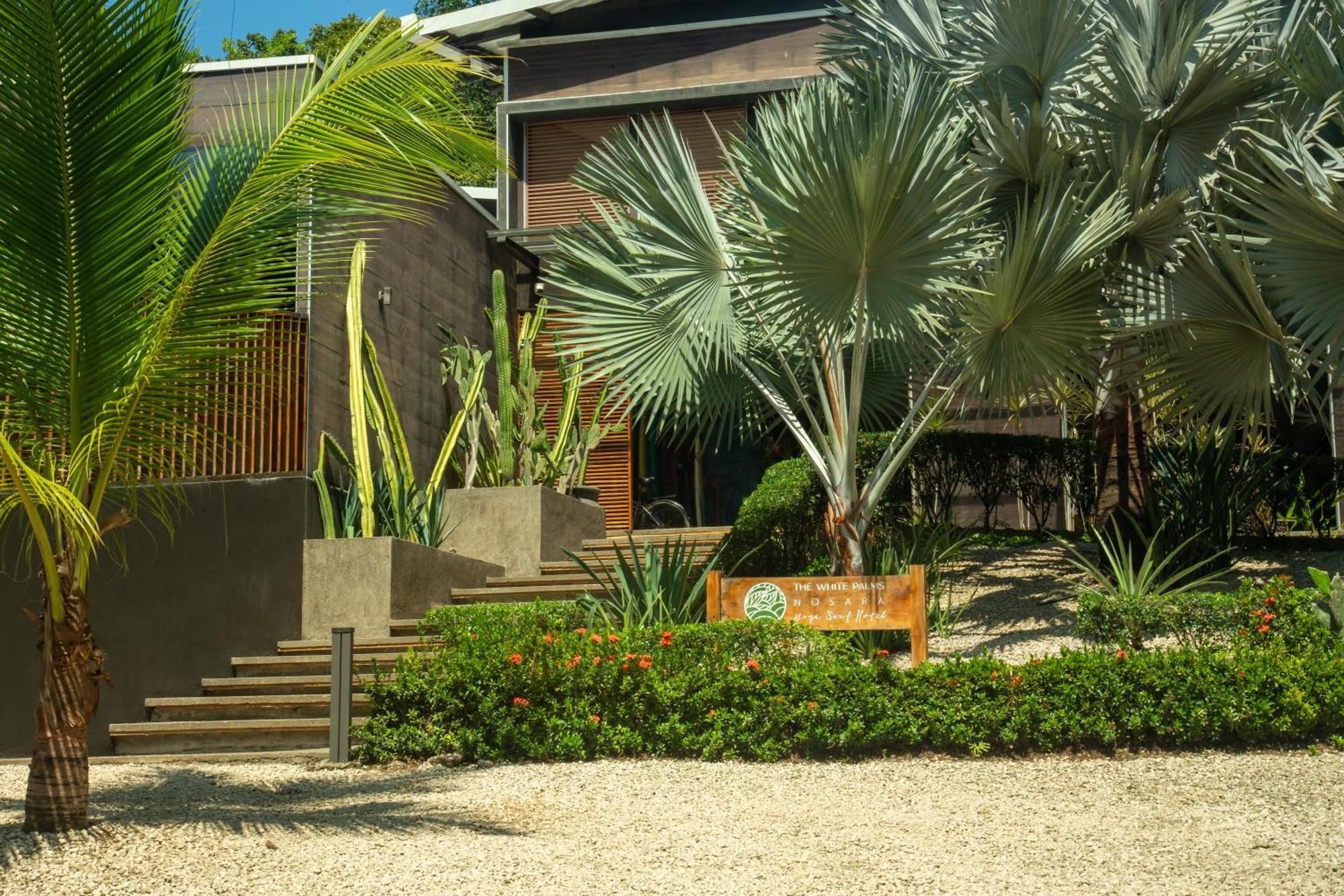 Hotel The White Palms Of Nosara Playa Guiones Exterior foto